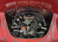 1967 Volkswagen Beetle 1600