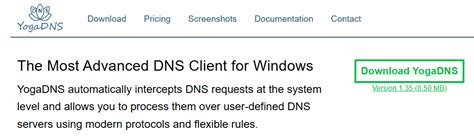 YogaDNS Pro 1.45 Download